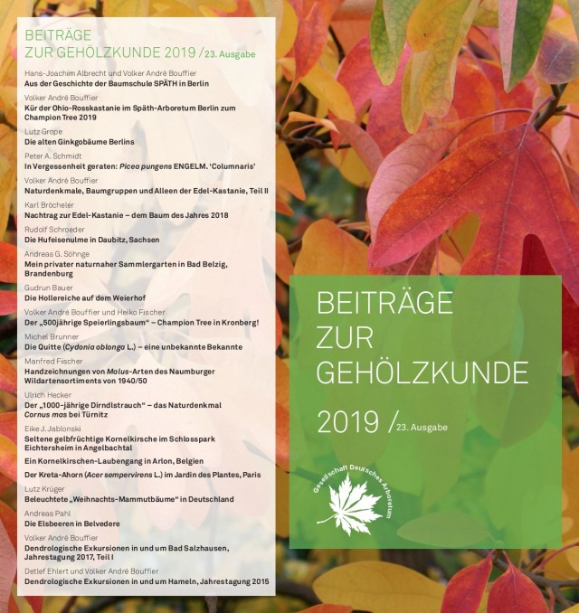 Titel und Inhaltsverzeichnis BzG 2019
