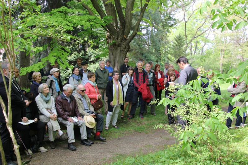 Ansprache von Dr. Ludwig Kronthaler, Vizepräsident der Humboldt-Universität zu Berlin, anlässlich der Kür der Aesculus glabra im Späth-Arboretum. (Foto: Annika Dreilich)