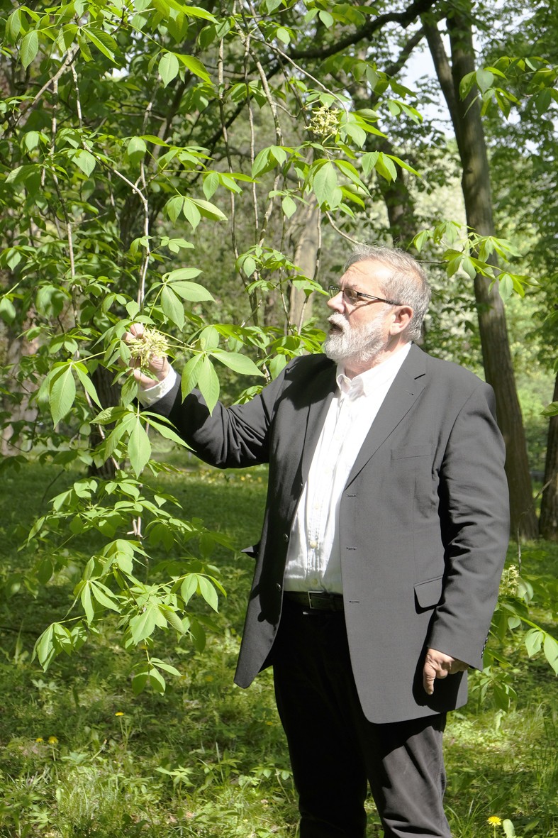 Prof. Dr. Peter A. Schmidt erläutert die Art Aesculus glabra - Ohio-Rosskastanie, 2019 (Foto: Martin Ibold)